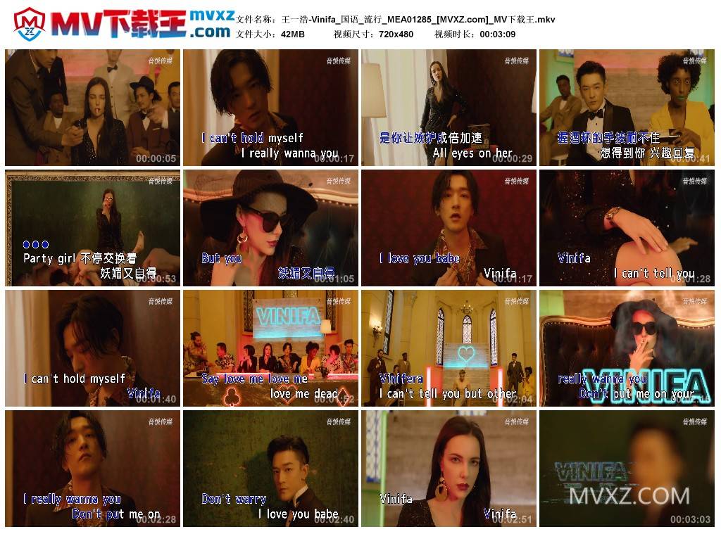 王一浩-Vinifa_国语_流行_MEA01285